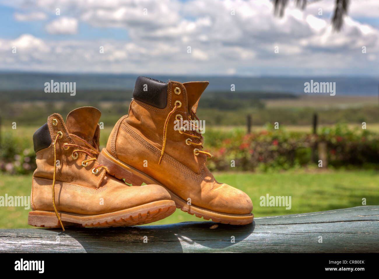 Safari boots drying on a wooden beam, Kenya, East Africa, Africa Stock  Photo - Alamy