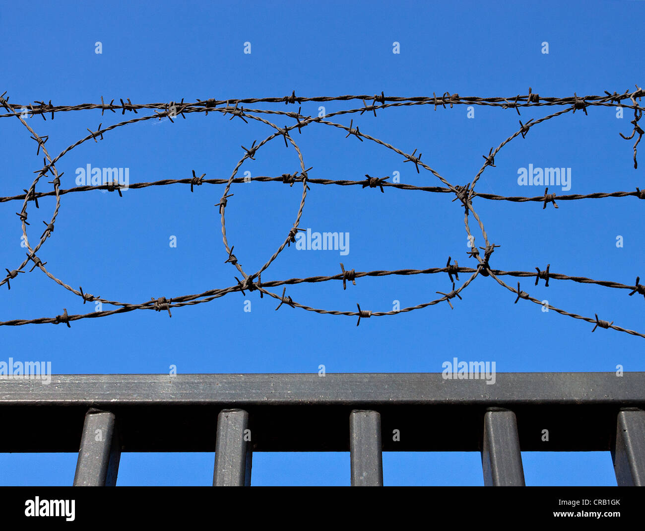 Barb barbed wire security fence fencing gate Stock Photo