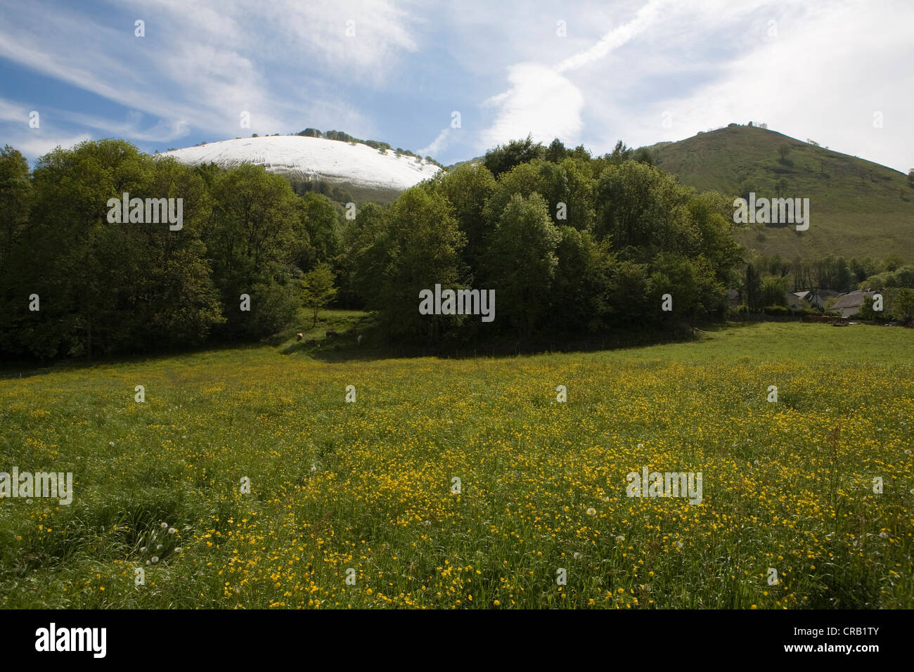 Mountain glade beneath snowy mountain in Bedous, Pyrenees-Atlantiques, France. Stock Photo