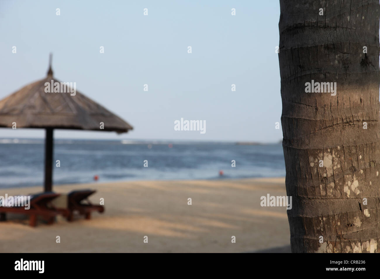 This is a photo of Bali in Indonesia. It's a touristic place with nice beach and sand very Zen with palm tree, coco tree, temple Stock Photo