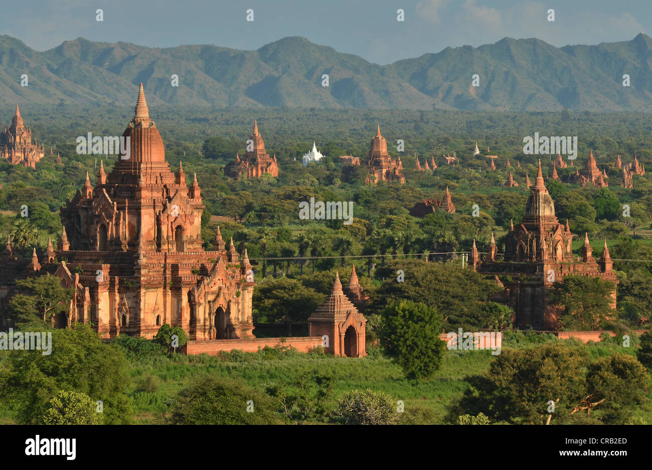 Pagoda field, temples, Zedi, Old Bagan, Pagan, Burma, Myanmar, Asia Stock Photo
