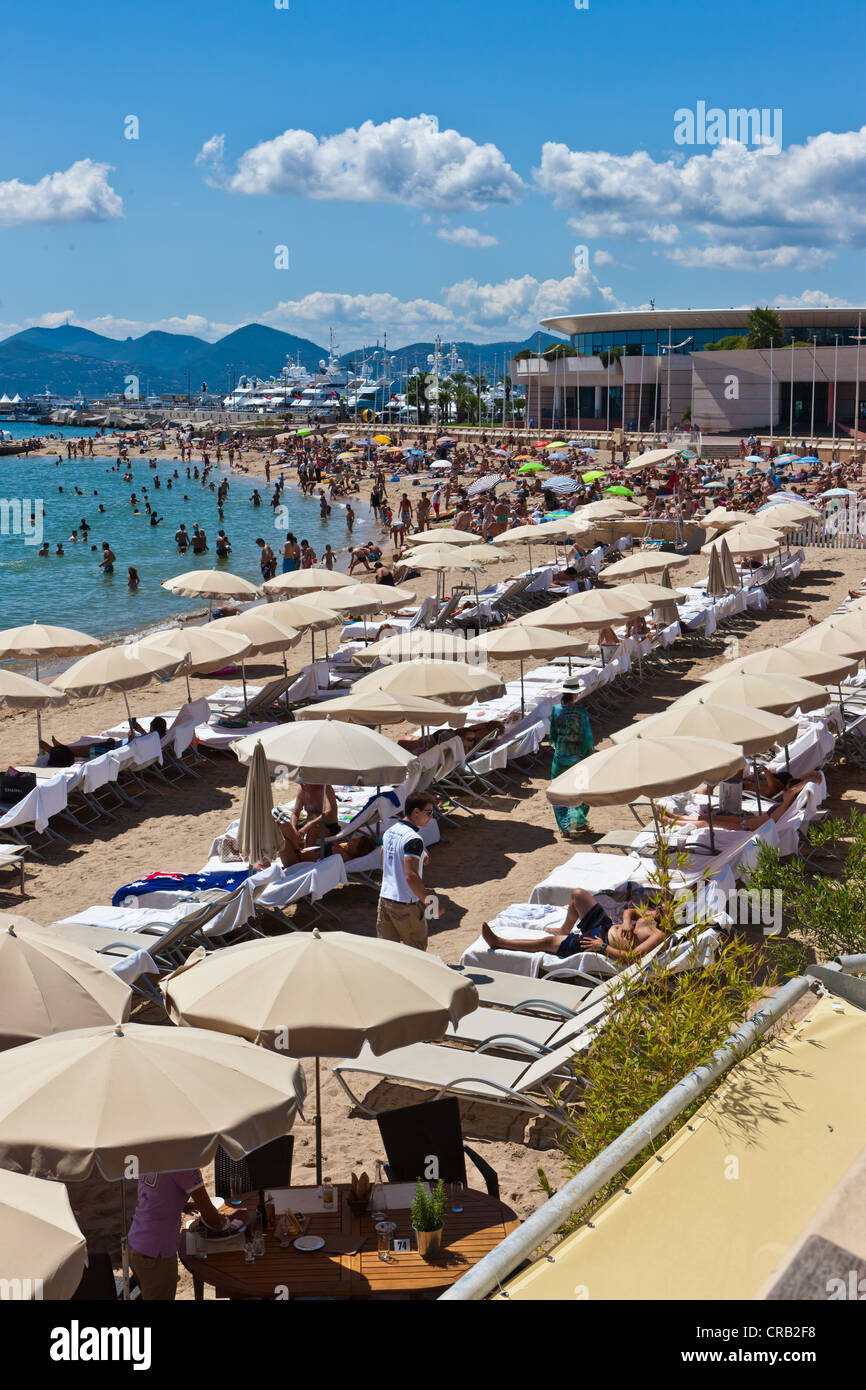 Beach of Cannes on the Croisette promonade, Cote d'Azur, Southern France, France, Europe, PublicGround Stock Photo