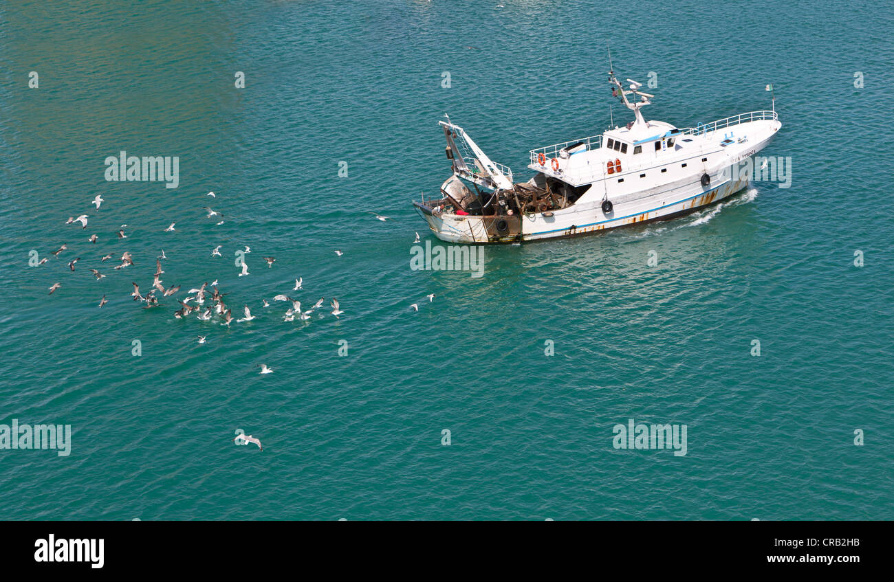 A fishing boat being followed by a flock of seagulls in the port of Civitavecchia, Rome, Italy, Europe Stock Photo