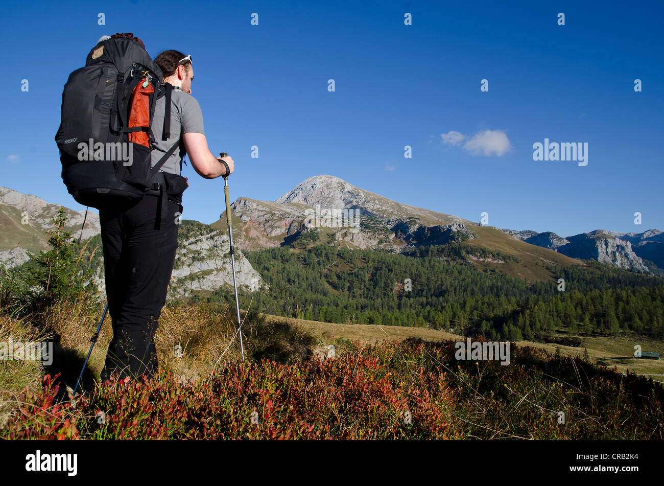 Man hiker trekking poles hi-res stock photography and images - Alamy
