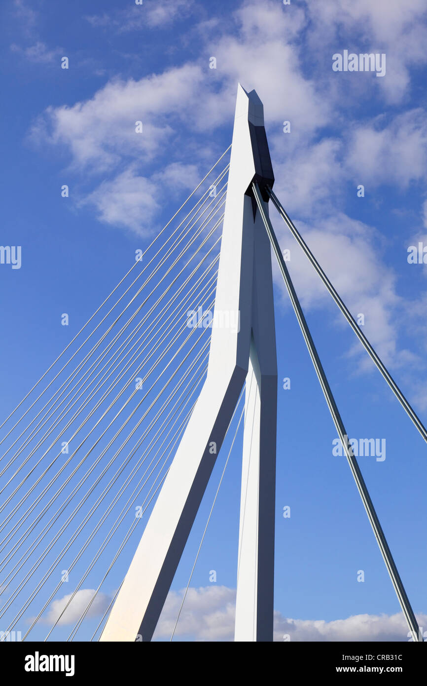 Cablestayed bridge, bridge pier, pylon, Erasmus Bridge, Erasmusbrug