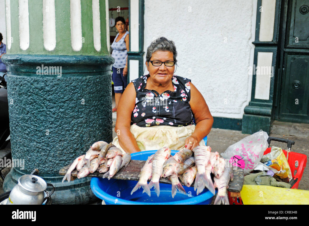 Fishmonger, historic market hall, city of Honda, Colombia, South America, Latin America Stock Photo