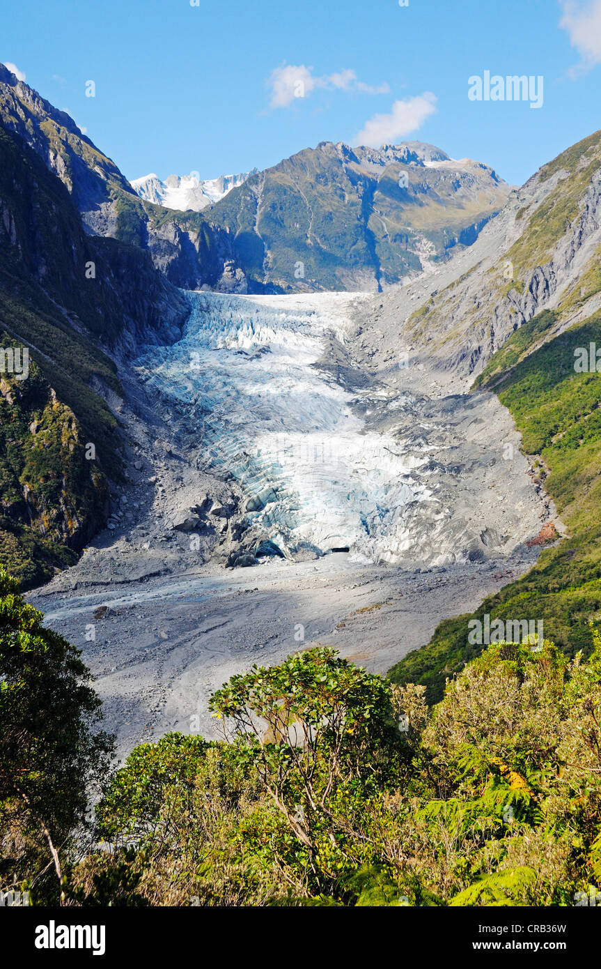 Fox Glacier, Te o Moeka o Tuawe, in Westland National Park, South Island of New  Zealand Stock Photo - Alamy, image size:863x1390