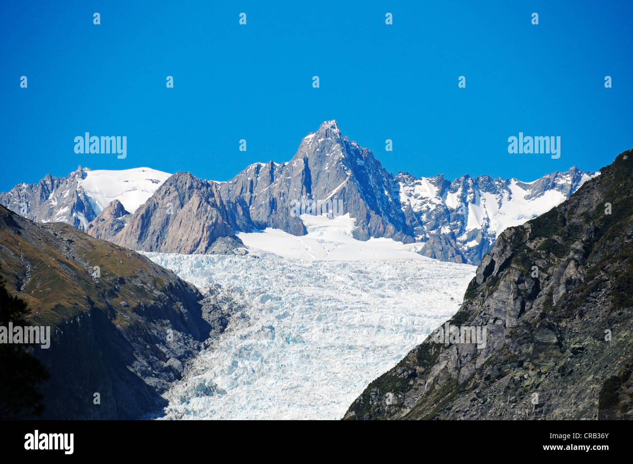 Fox Glacier, Te o Moeka o Tuawe, in Westland National Park, South Island of New  Zealand Stock Photo - Alamy, image size:1300x953