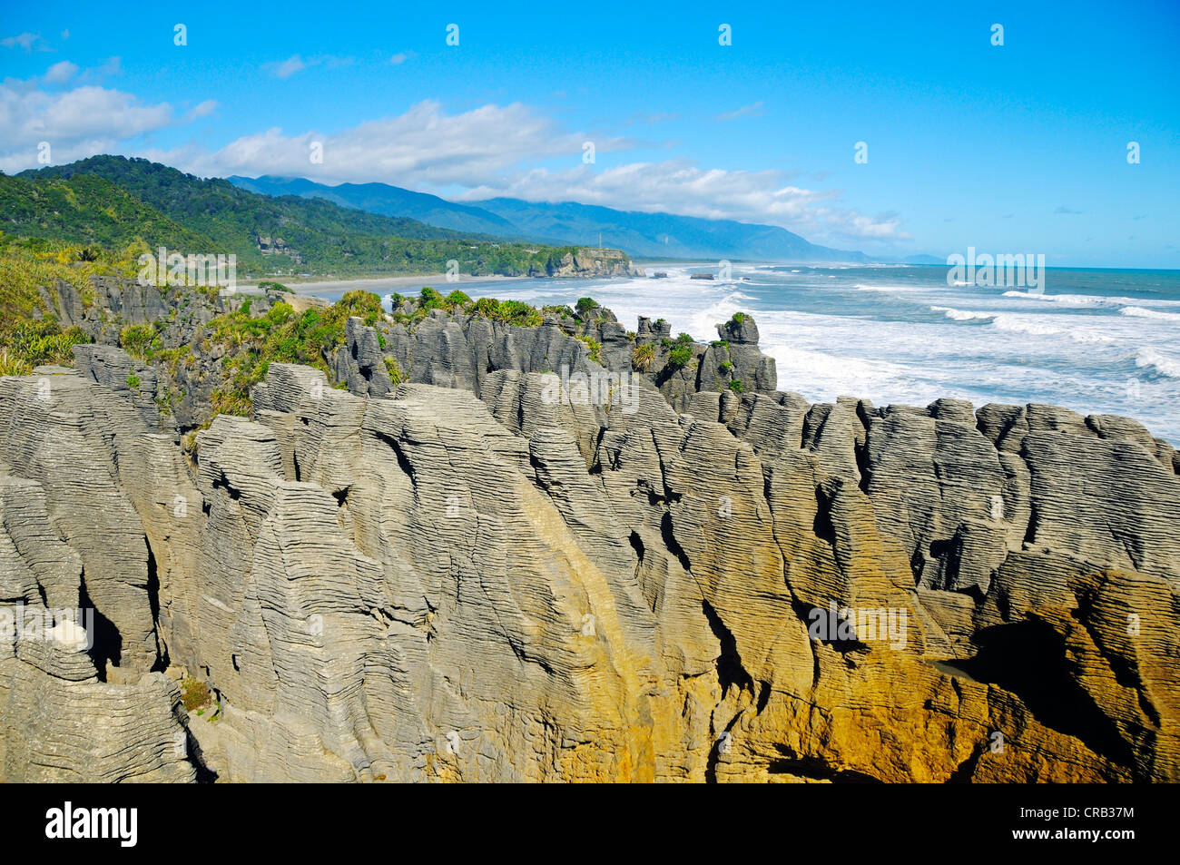 Rock formations of the Pancake Rocks, Punakaiki, Paparoa National Park, South Island, New Zealand Stock Photo