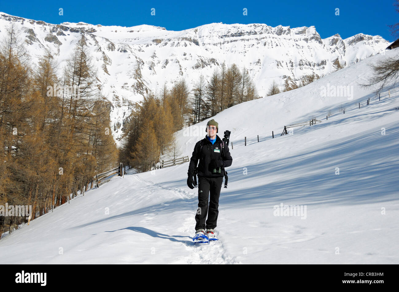 National Park Ranger hiking with snowshoes in Grosse Fleisstal valley near Heiligenblut, National Park Hohe Tauern, Carinthia Stock Photo