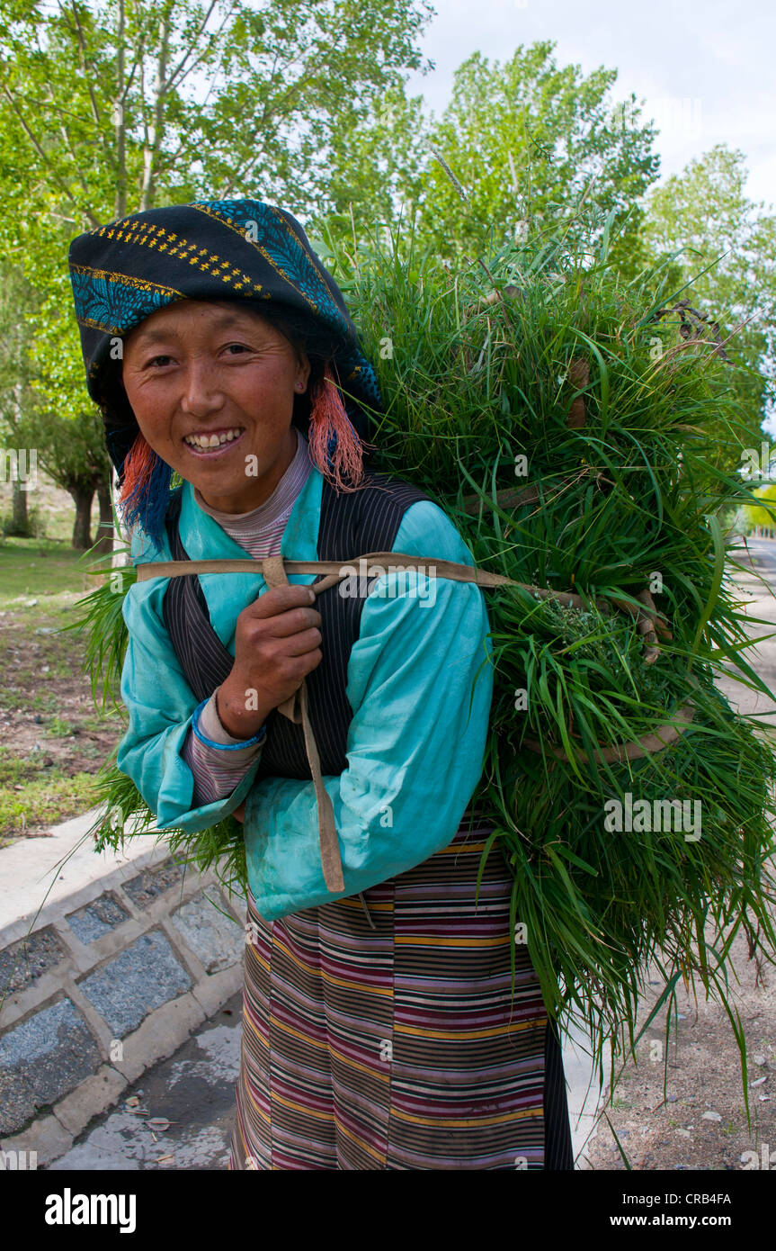 Friendly woman carrying a bundle of hay on her back, Lhasa, Tibet, Asia Stock Photo