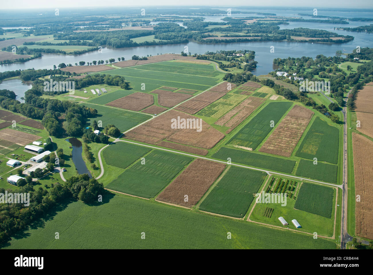 Aerial of farmed plots of land on the Eastern Shore in Maryland Stock Photo