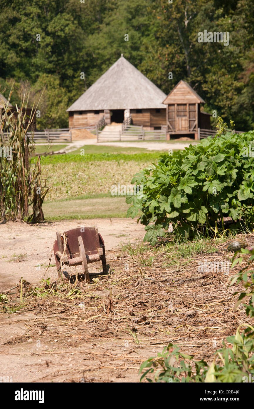 Wheel barrow and thatched roof barn on a pioneer style farm Stock Photo