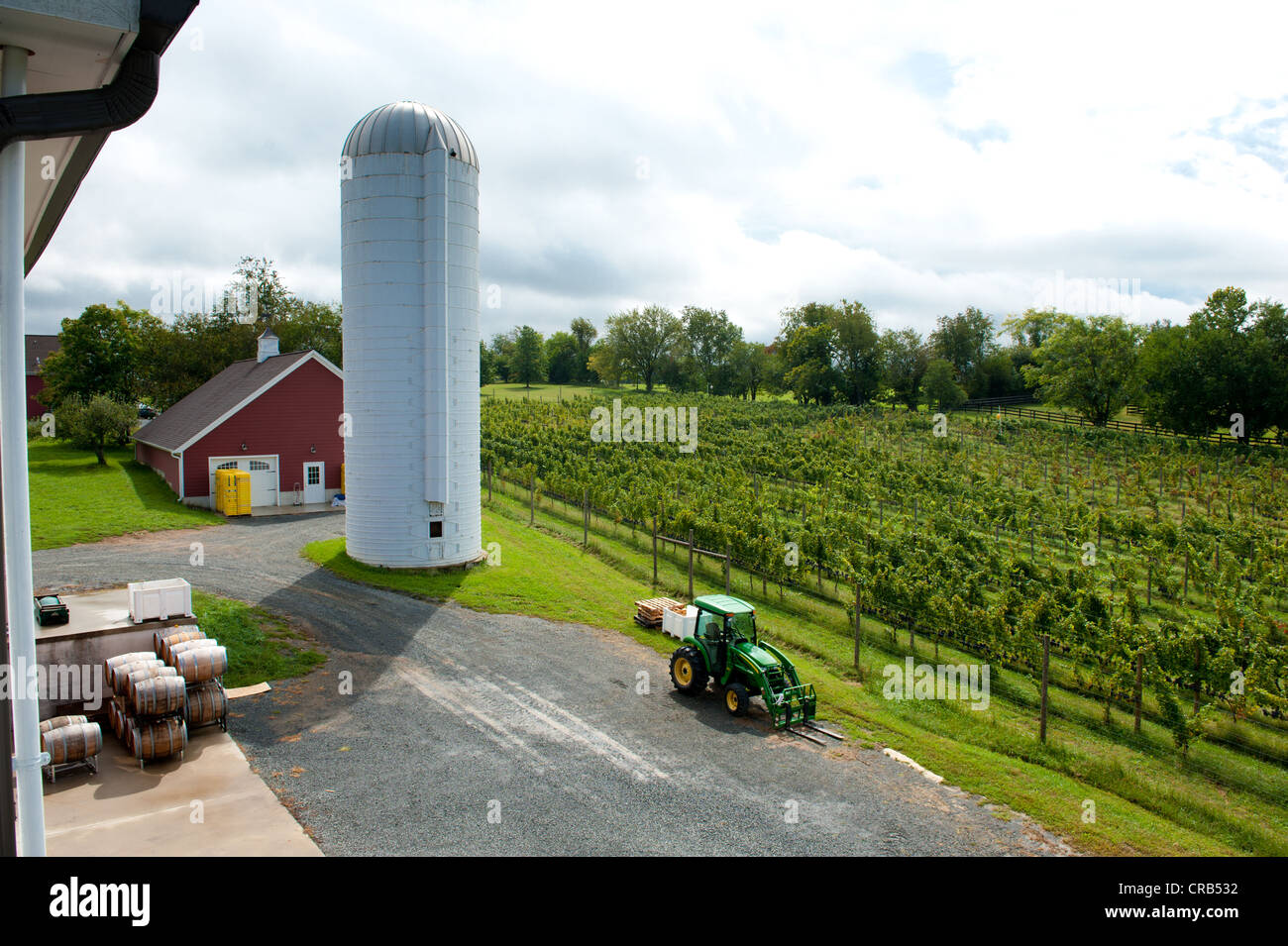 Vineyard in Purcellville Va Stock Photo