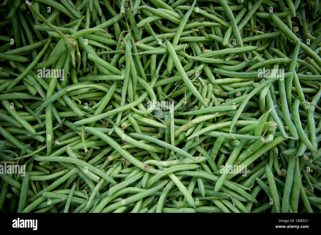 Whole green beans at a farmer's market Stock Photo