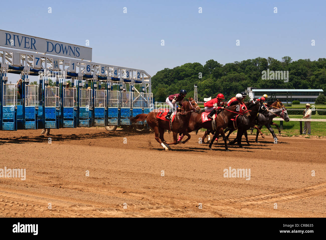 Thoroughbred horses at the start of a race. Stock Photo