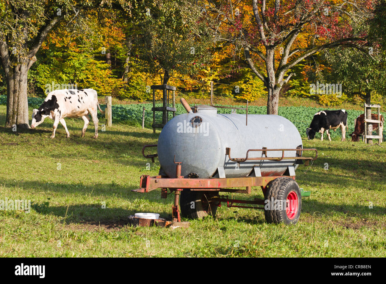Livestock water tank hires stock photography and images Alamy