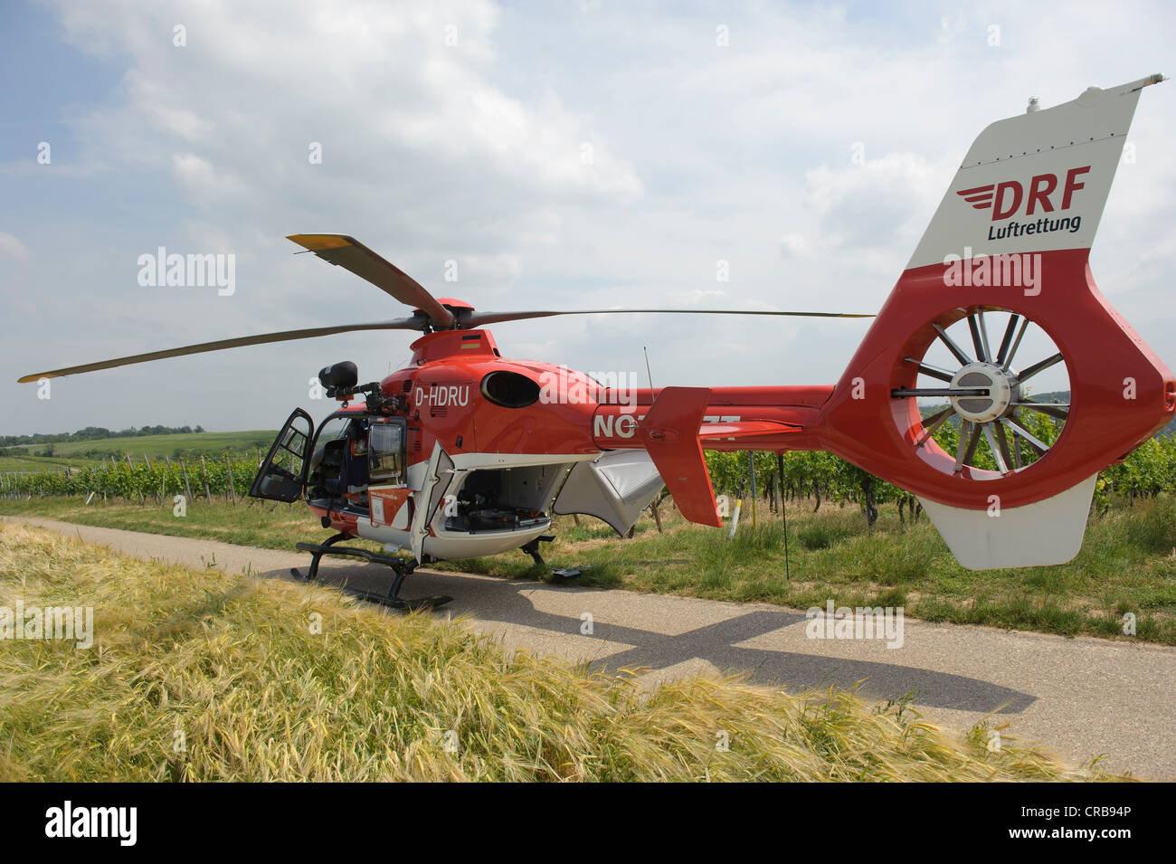 DRF rescue helicopter landing during a rescue operation, Hessigheim, Baden-Wuerttemberg, Germany, Europe Stock Photo