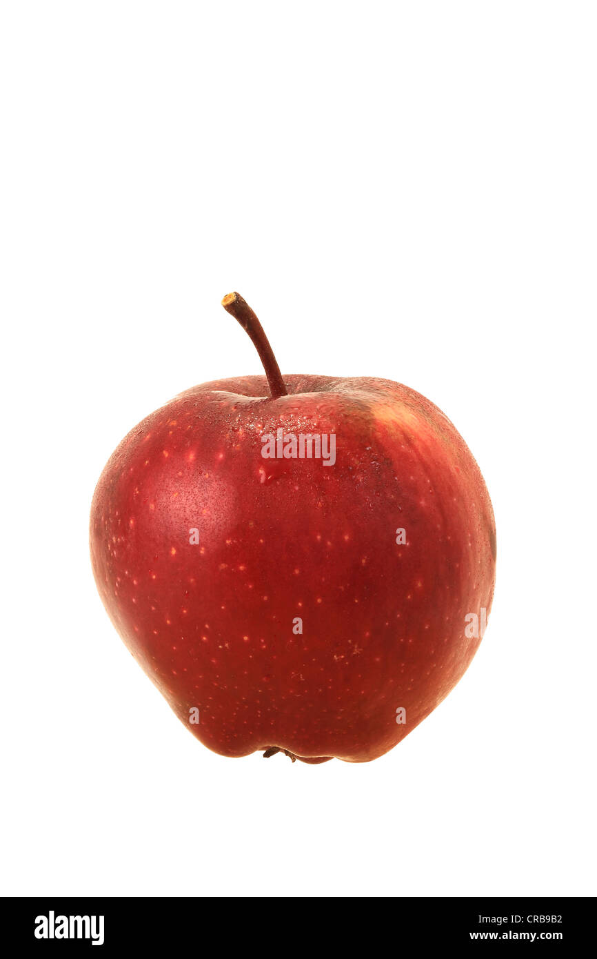 Apple, Red Delicious variety Stock Photo Alamy