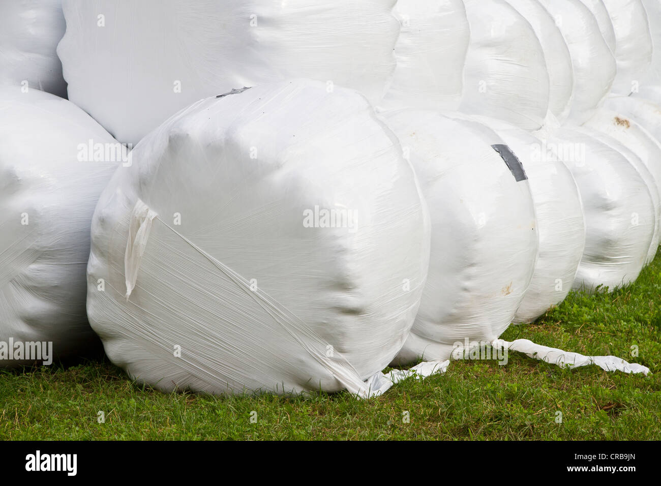 Wrapped round bales of hay, stacked Stock Photo Alamy