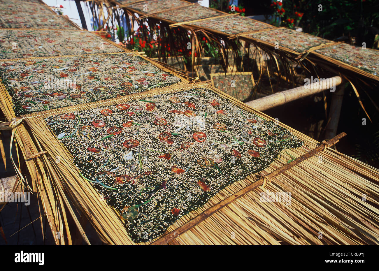 Kaipen hires stock photography and images Alamy