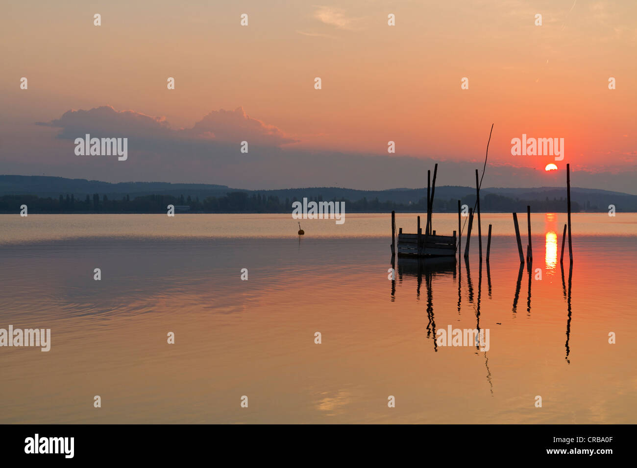 Fish traps in the first morning light, Iznang, Lake Constance, Konstanz
