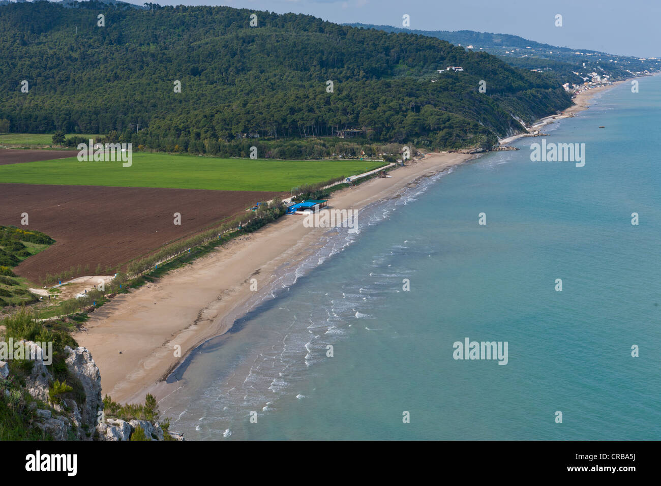 Overlooking the beach at Peschici, Gargano, Foggia, Apulia, Puglia, Southern Italy, Italy, Europe Stock Photo