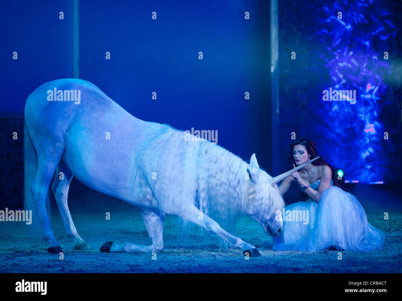 Horse as a unicorn, Magnifico, show by André Heller, world premiere on 08.02.2011, Munich, Bavaria, Germany, Europe Stock Photo