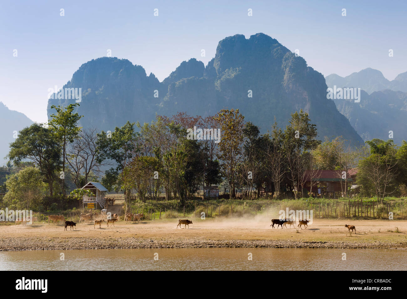 Karst mountains, Nam Song River, Vang Vieng, Vientiane, Laos, Indochina, Asia Stock Photo