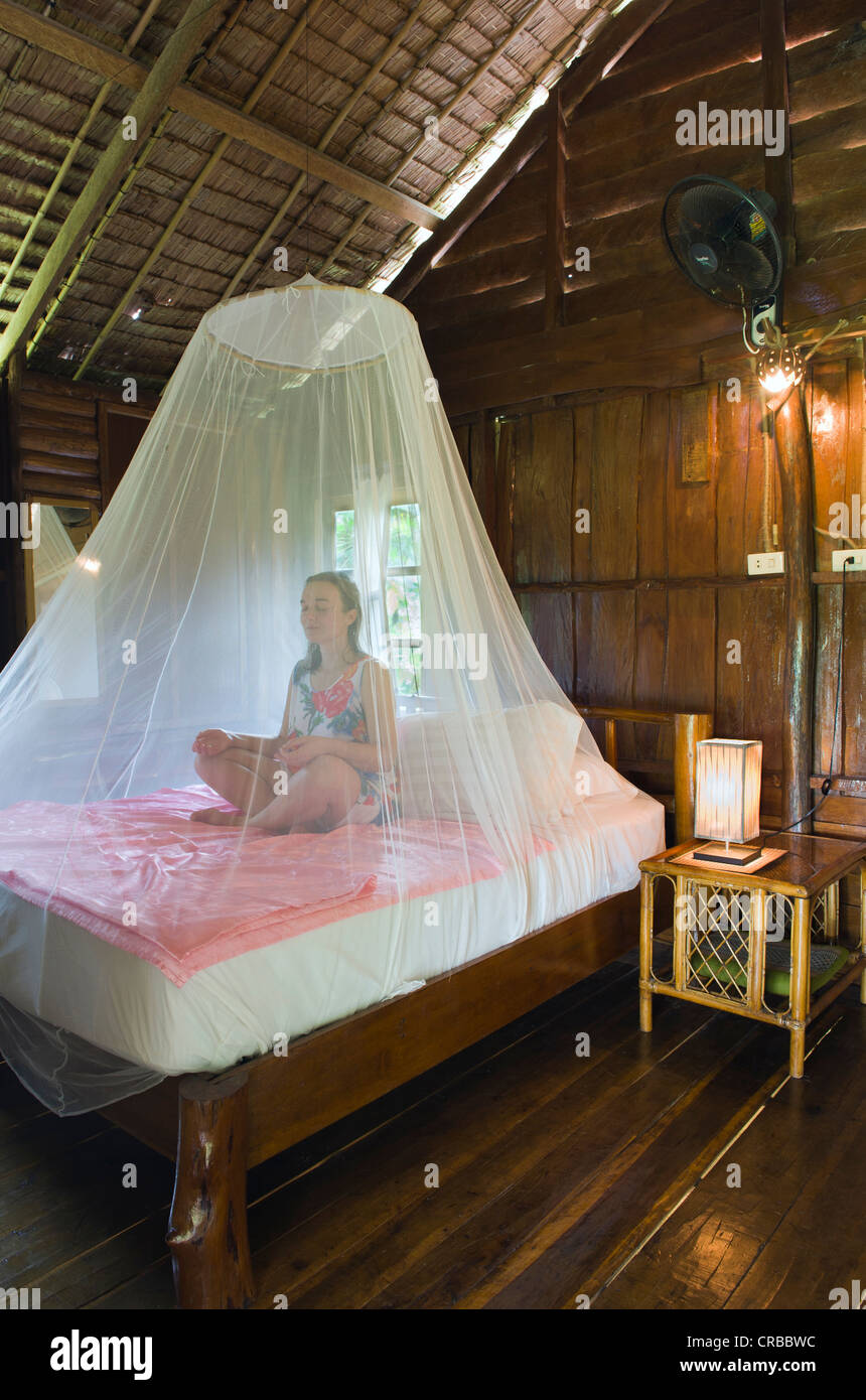 400+ Mosquito Net Bed Stock Photos, Pictures & Royalty-Free Images