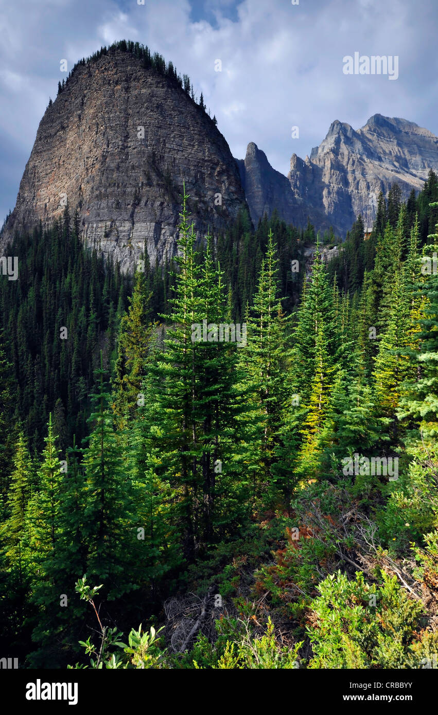 Big Beehive Mountain, Lake Louise, Tea House, Banff National Park