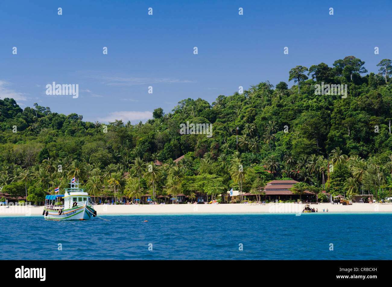 Palm-lined beach, Koh Hai island, Koh Ngai, Trang, Thailand, Asia Stock Photo