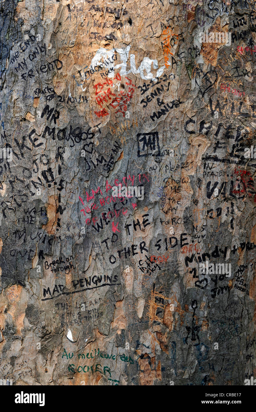 Graffiti and messages on a tree trunk near the grave of Jim Morrison, Cimetière du Père Lachaise Cemetery, Paris, France, Europe Stock Photo