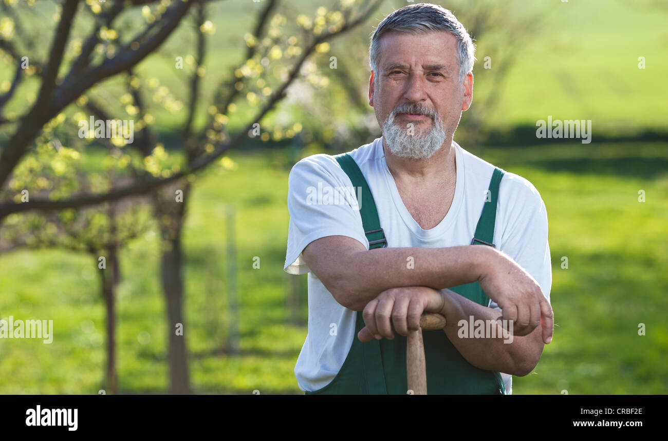 Portrait of a senior man gardening in his garden Stock Photo - Alamy
