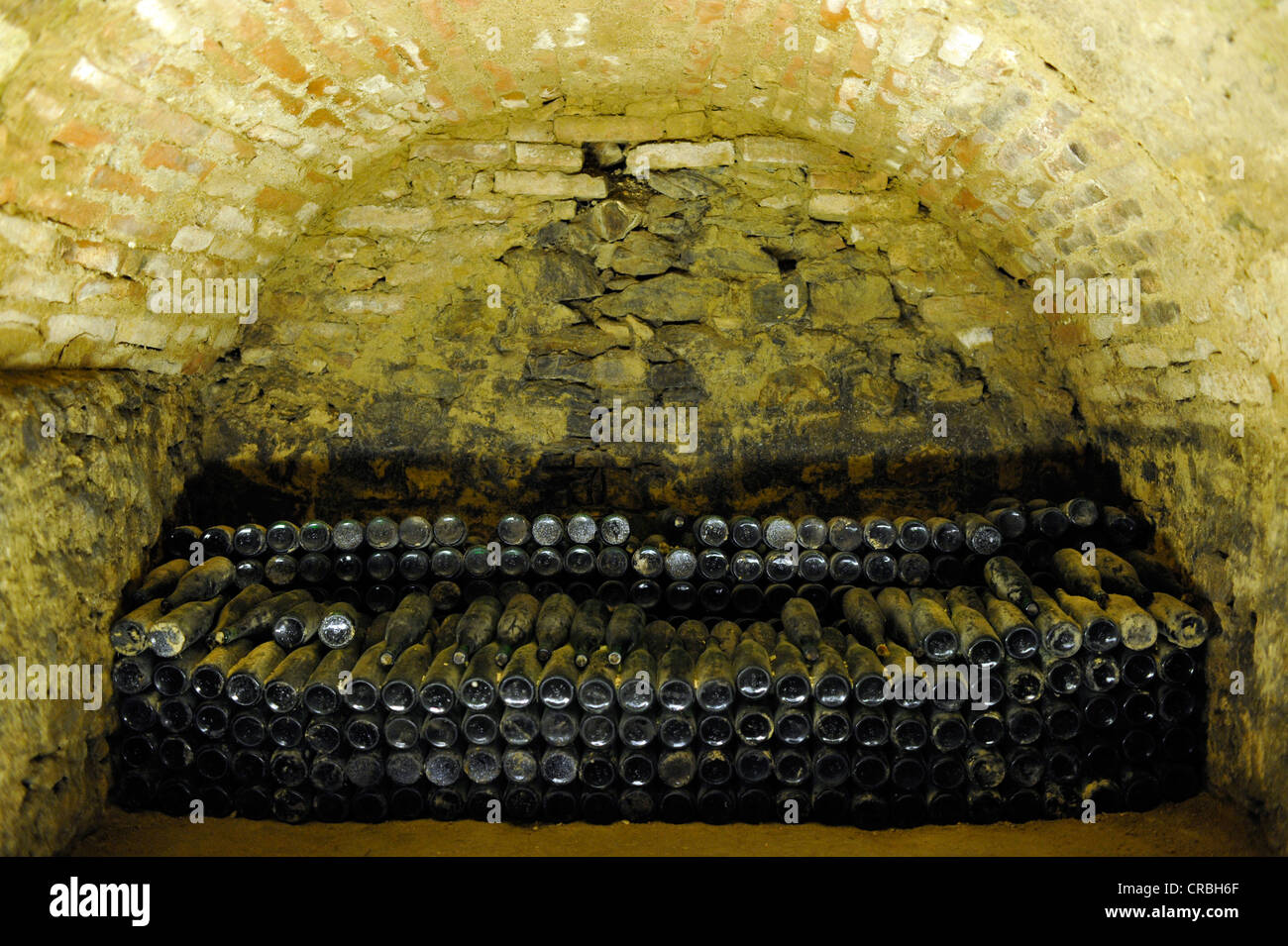 Very old bottles of wine in a wine cellar, Loisium World of Wine