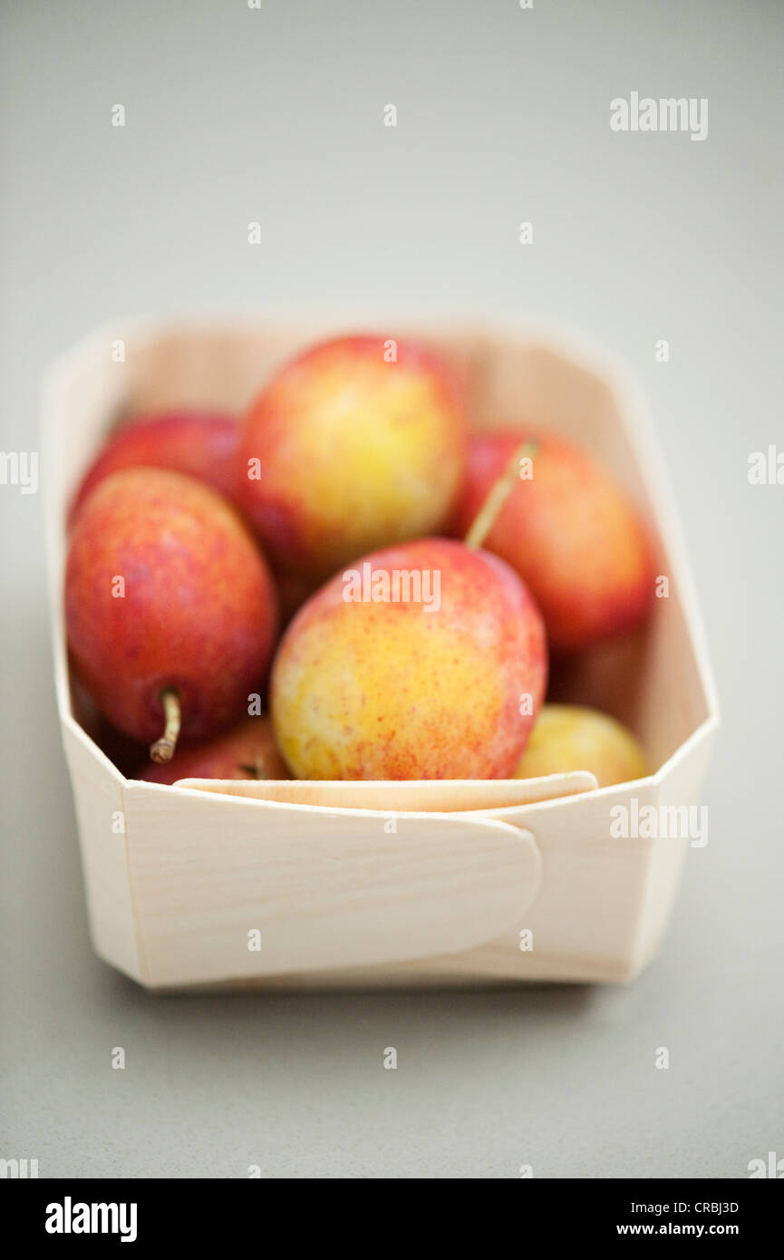 of Victoria plums Stock Photo Alamy