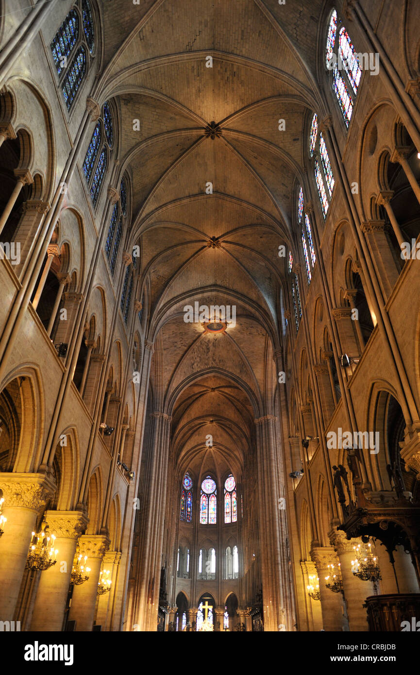 Interior Ceiling Structure Cathedral Of Notre Dame De Paris Ile