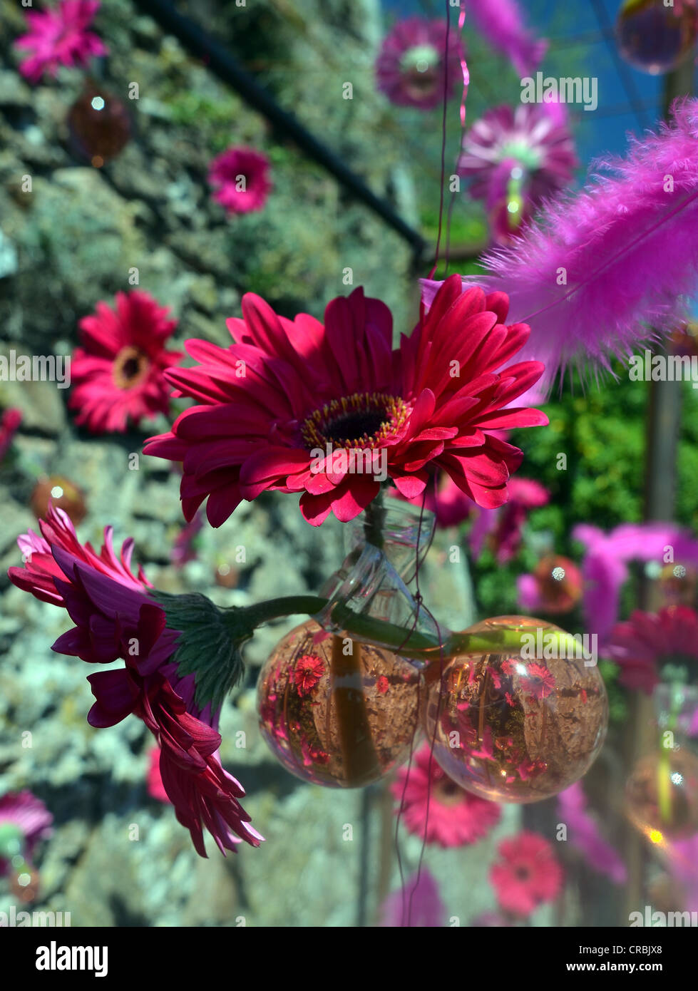 Flower festival in Cannes, south of France Stock Photo Alamy
