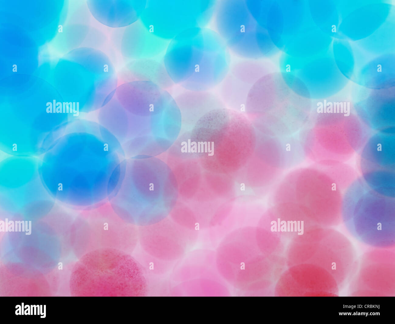 microscopic pink and blue balls in the water Stock Photo