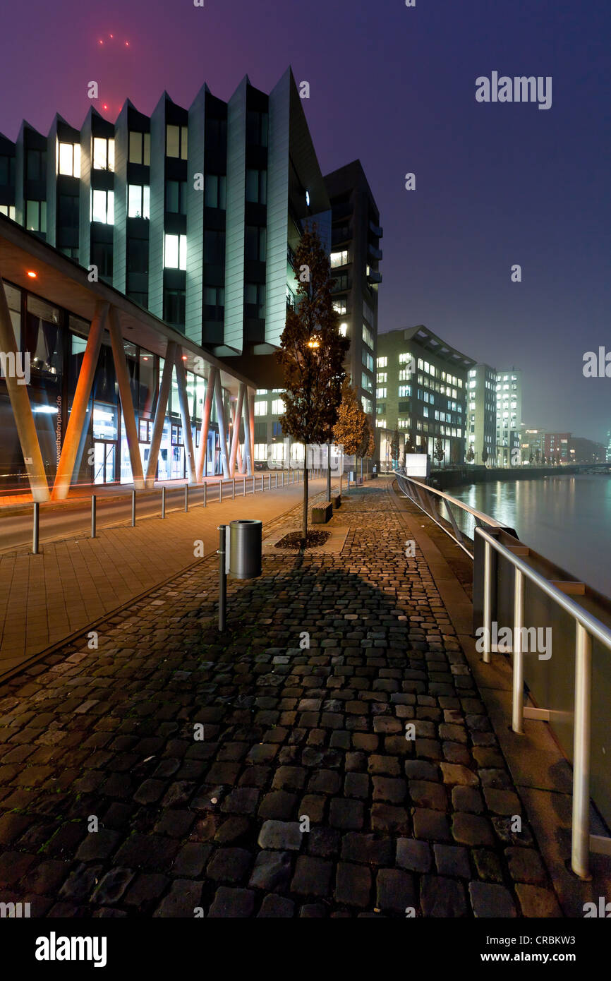 Modern office buildings in fog, Westhafen Pier 1, Frankfurt am Main ...