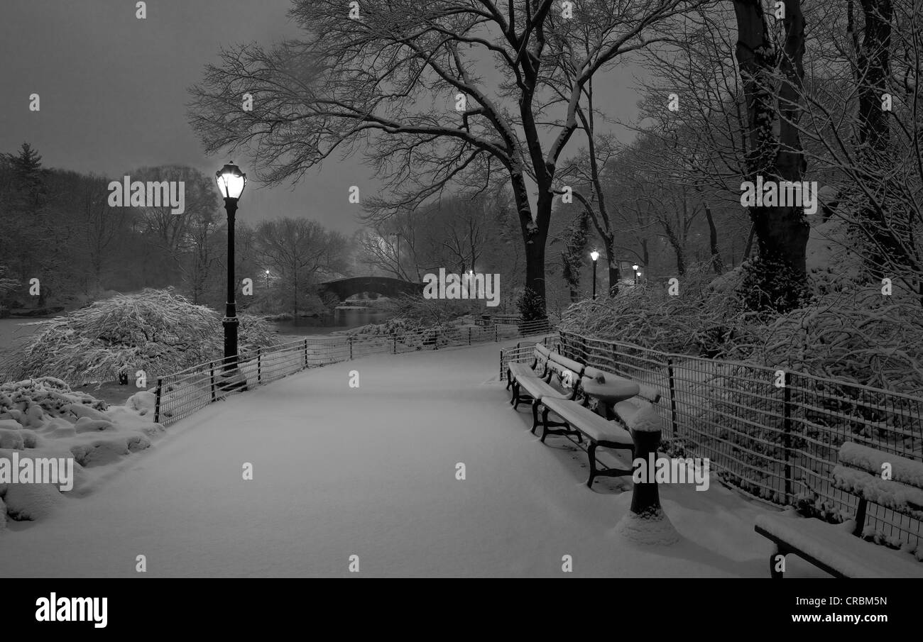 Central Park New York Events Calendar Pen Leanor