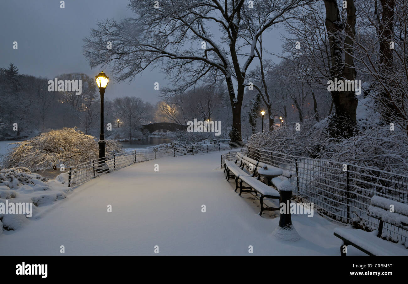 Central park winter dawn hi-res stock photography and images - Alamy