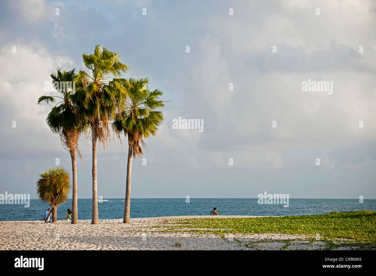 Sandy beach, Sombrero Beach, Marathon, Florida Keys, Florida, USA Stock Photo