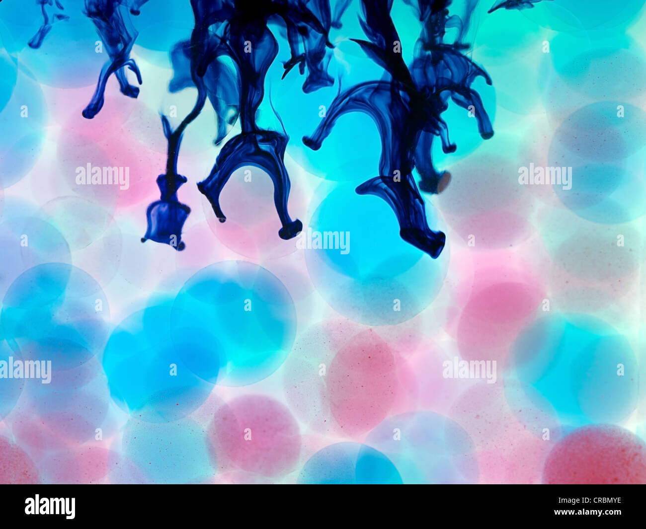 microscopic pink and blue balls in the water blue ink Stock Photo