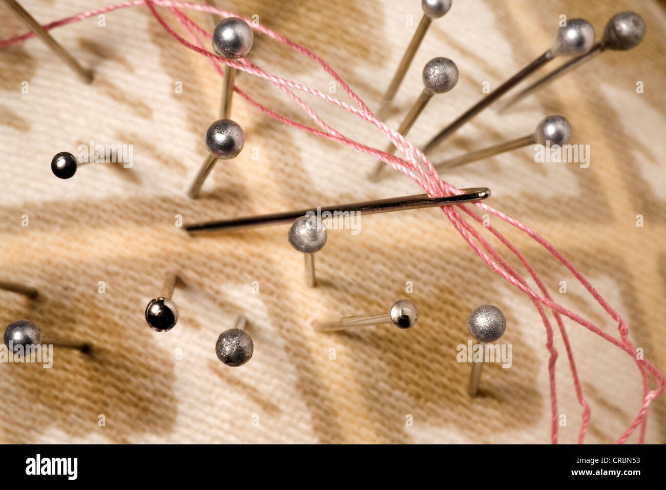 Closeup of pincushion with pins and a needle with multiple threads Stock Photo