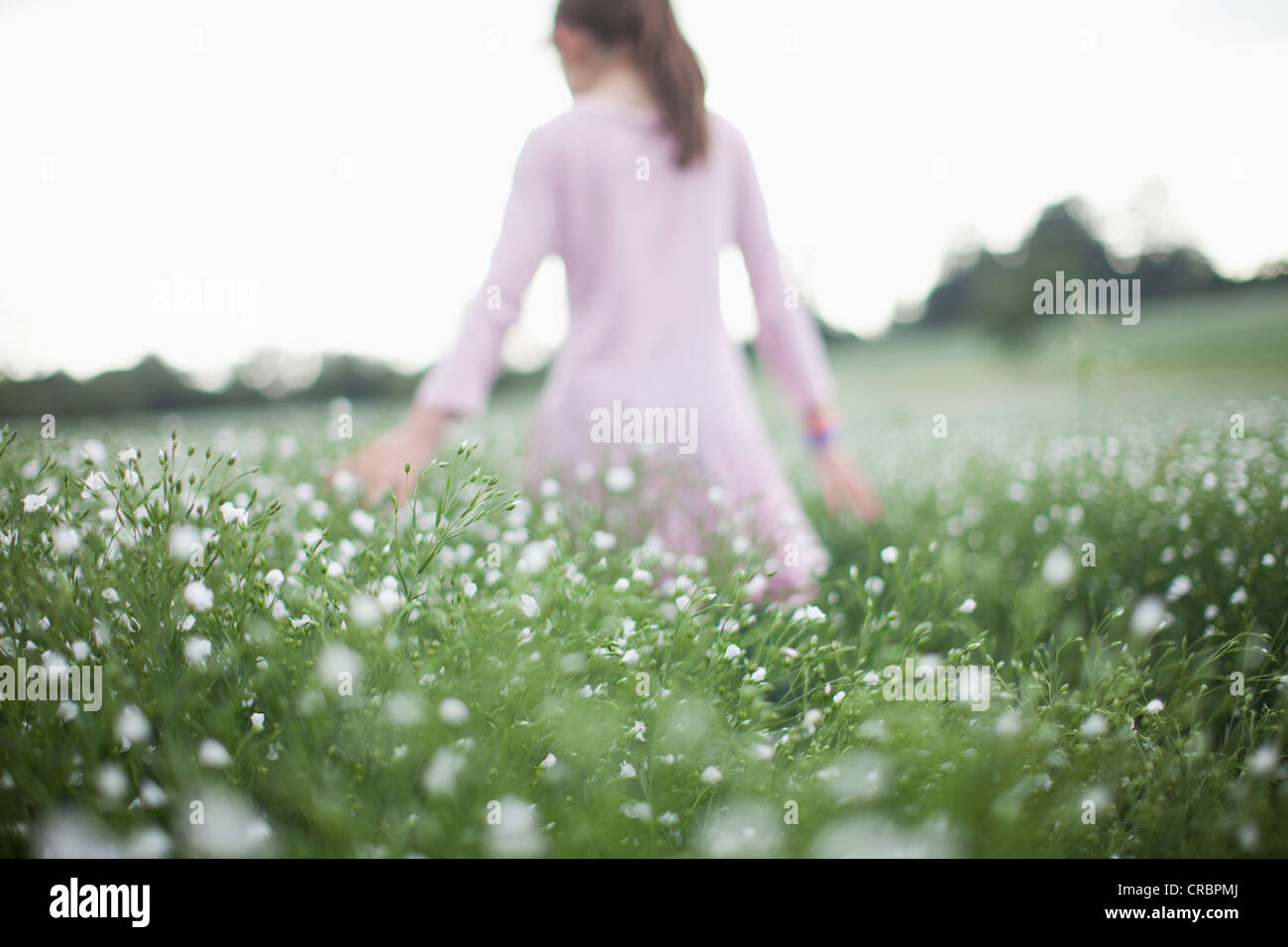 Girl walking in field of flowers Stock Photo Alamy