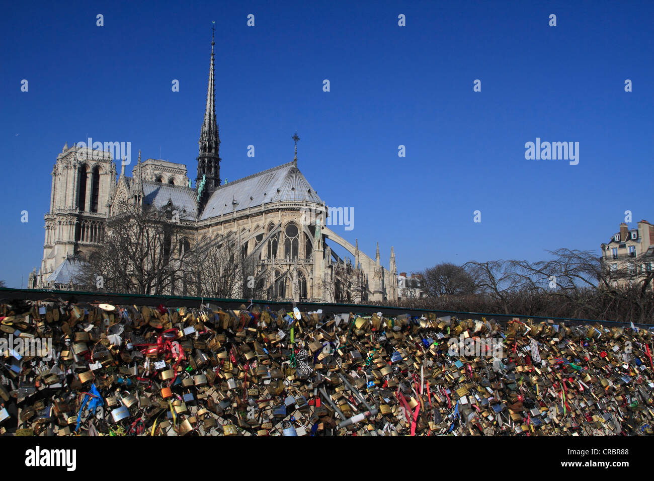 Padlocks on the bridge Pont de l'Archevêché, Notre-Dame Cathedral, Paris, France, Europe Stock Photo