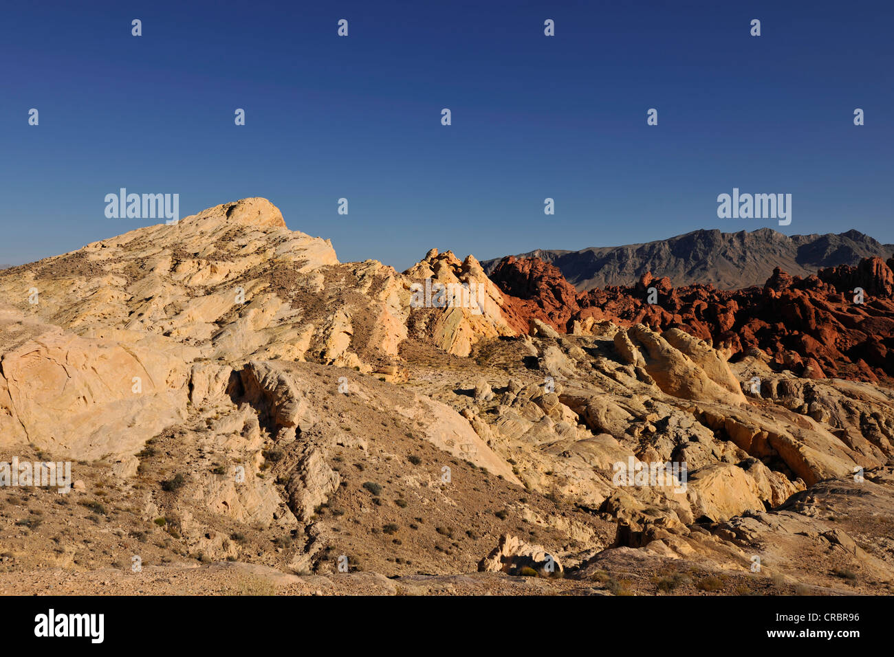 Silica Dome in the Fire Canyon, Valley of Fire State Park, Nevada