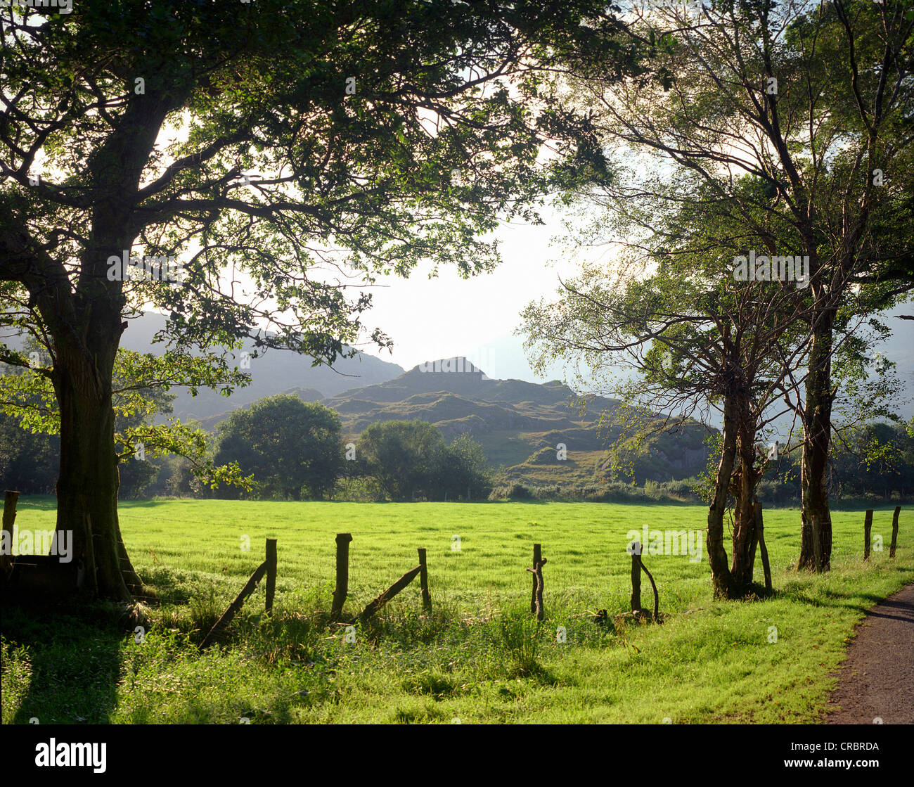 Wooden fence in rural field Stock Photo - Alamy