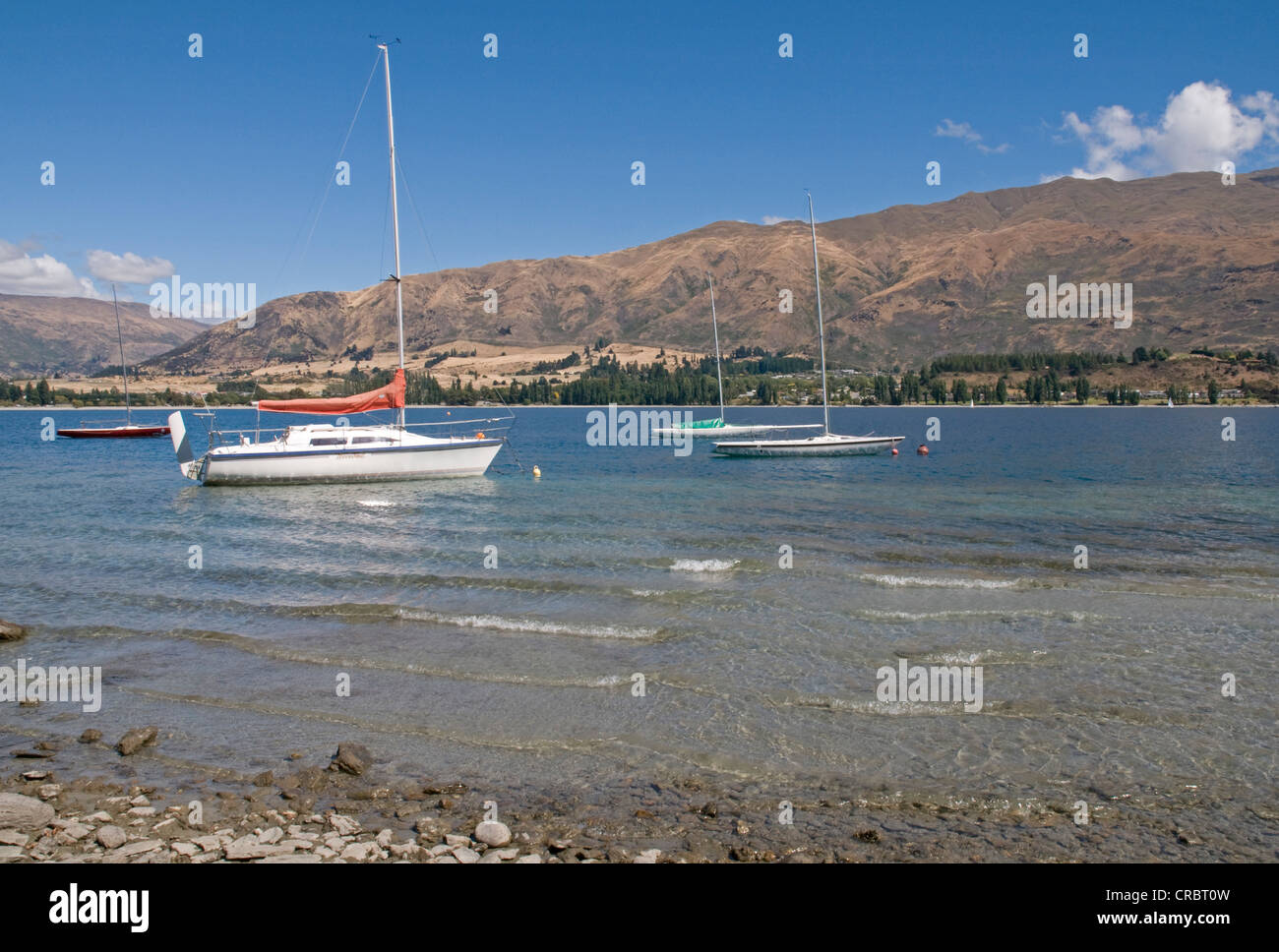 Lake Wanaka in New Zealand's South island Stock Photo - Alamy